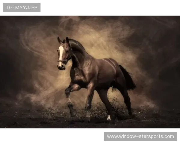 南特足球俱乐部历史与文化深度探讨:从起源到现代的辉煌历程 南特足球俱乐部历史与文化深度探讨:从起源到现代的辉煌历程