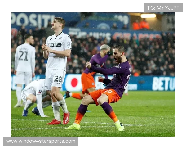 围绕斯旺西俱乐部发展历程与未来前景全面深度解析观察及战略方向探讨