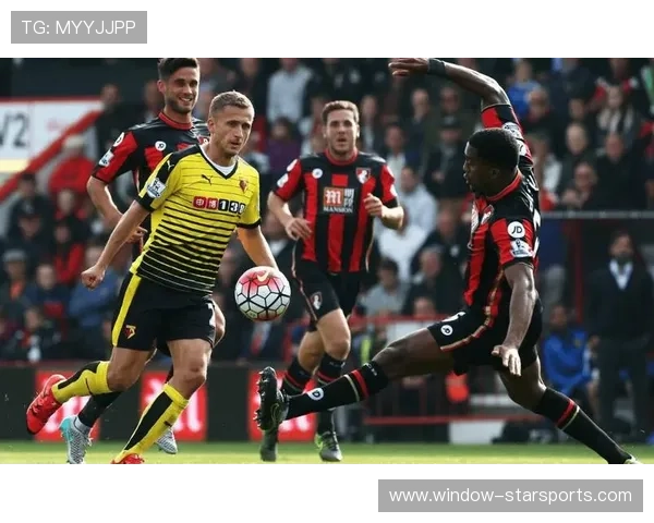 布伦特福德最新动态：球队战绩分析与未来引援展望