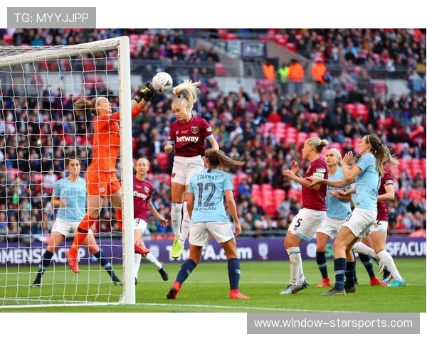 西汉姆联足球俱乐部历史成就与未来展望分析